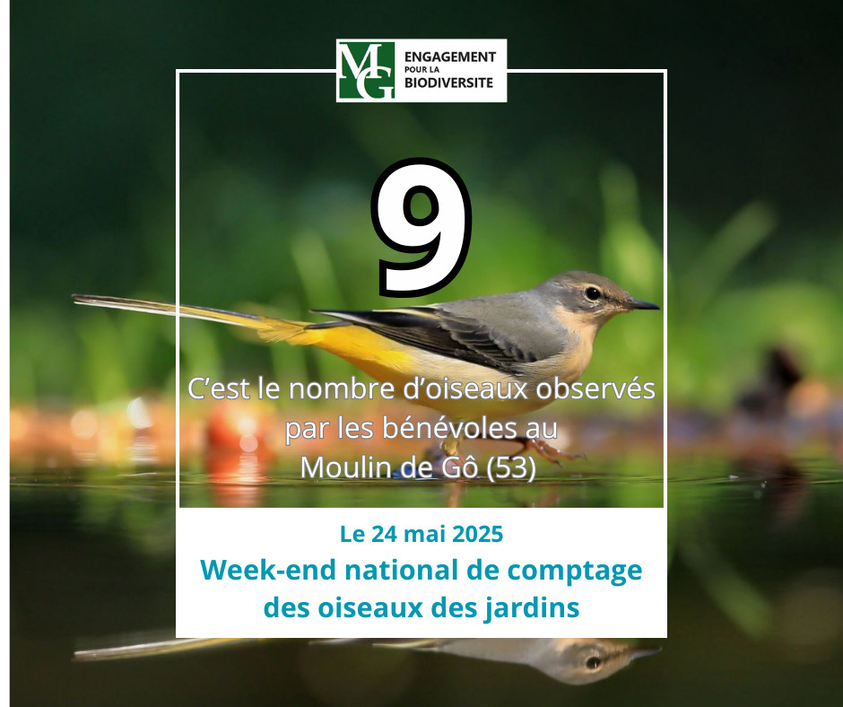 Biodiversite