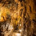 Grottes saulges